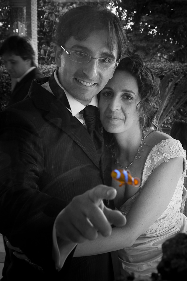 200910031733