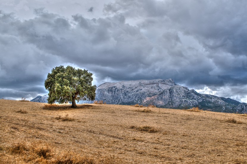 MG_0054_tonemapped.jpg